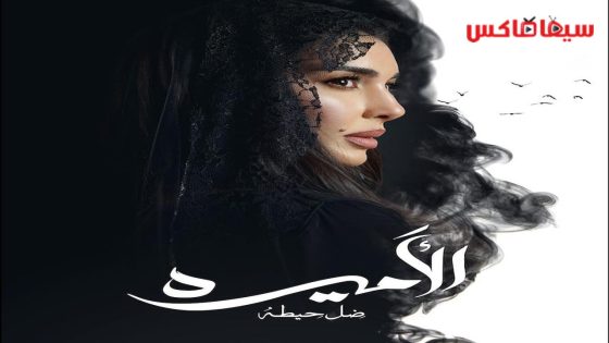 مسلسل الاميرة: ضل حيطة الحلقة 12